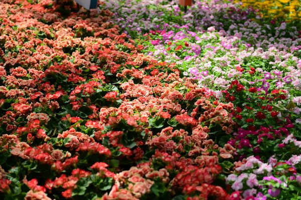 Comment choisir la bonne agence immobilière pour votre maison